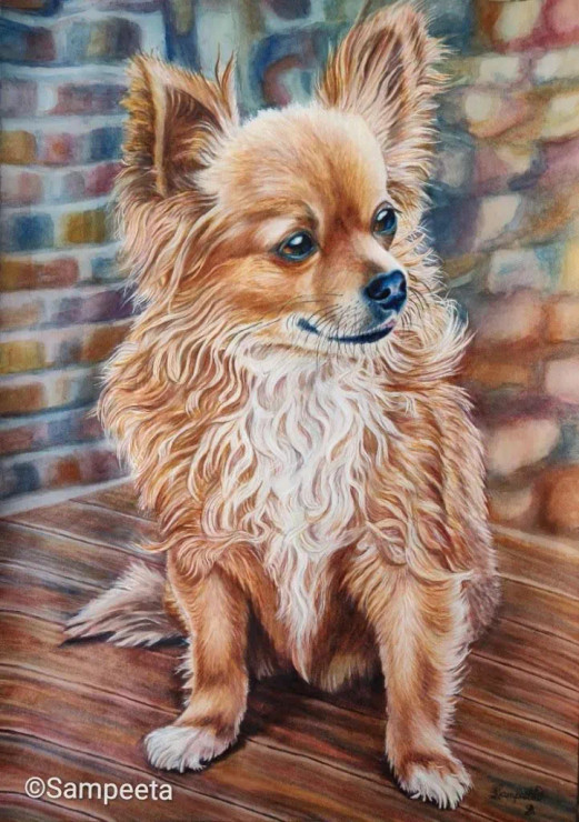 Chihuahua In Waiting For  (ART-2393-100162) - Handpainted Art Painting - 14 in X 20in