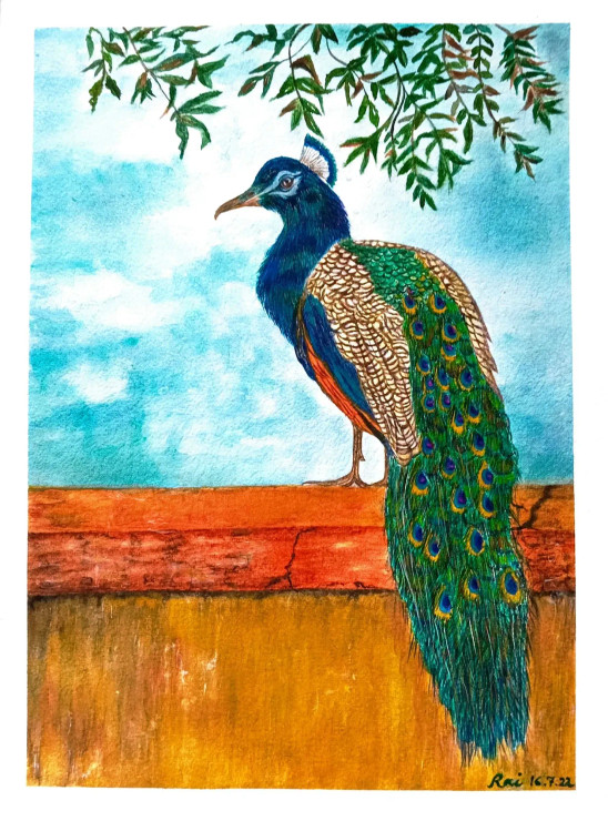 A Majestic Bird, Peacock. (ART-8729-100180) - Handpainted Art Painting - 11 in X 15in