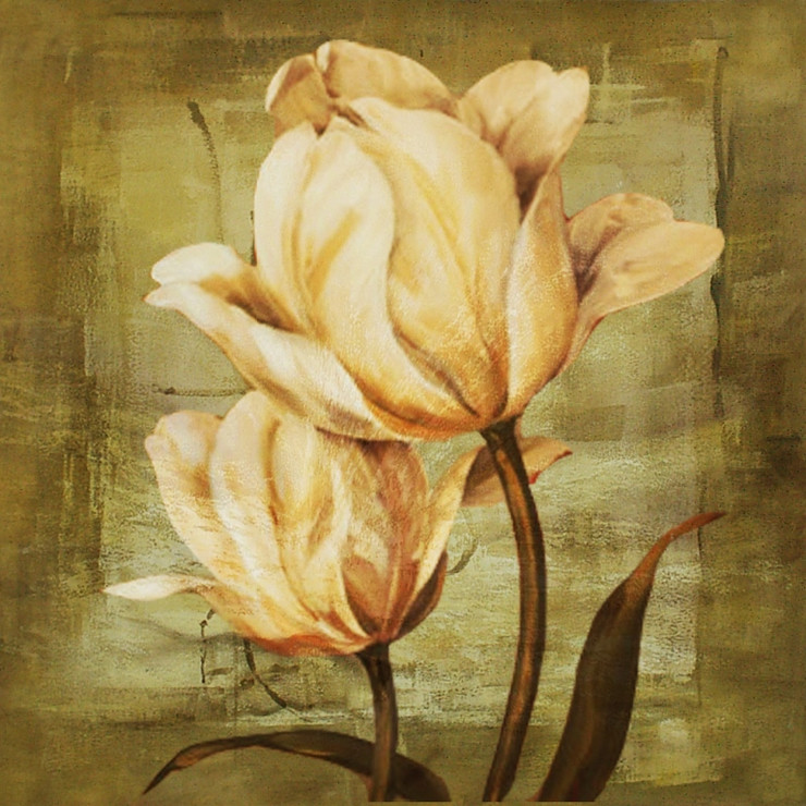 Flower,Floral,Colorful flowers,petal,beauty of floral,bloom ,blossom