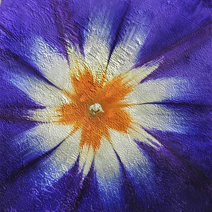 Flower,Floral,Colorful flowers,petal,beauty of floral,bloom ,blossom