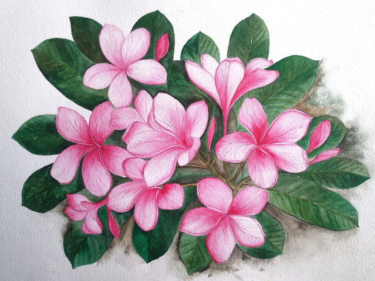 Plumeria Flowers Blessings Of God (ART-8972-100642) - Handpainted Art Painting - 16 in X 12in