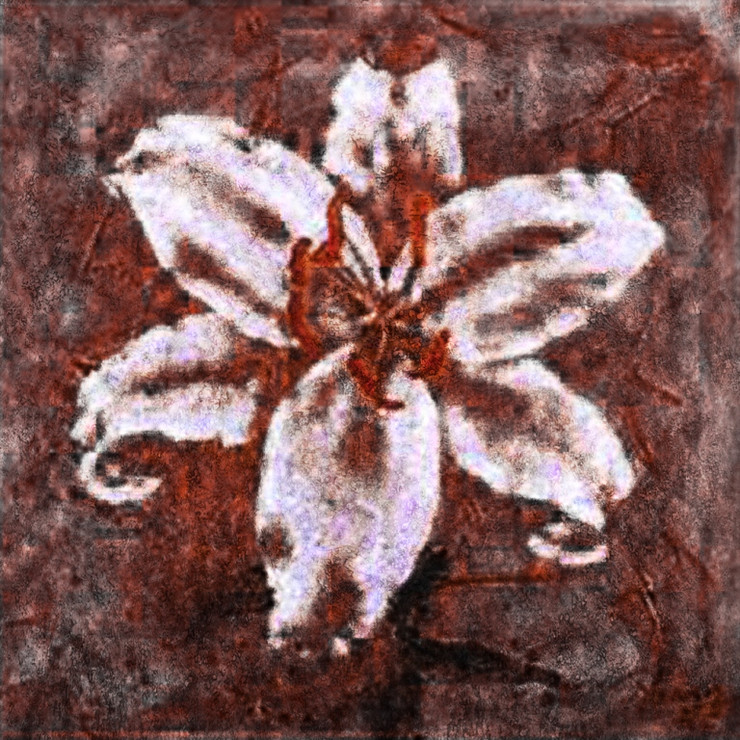 Flower,Floral,Colorful flowers,petal,beauty of floral,bloom ,blossom