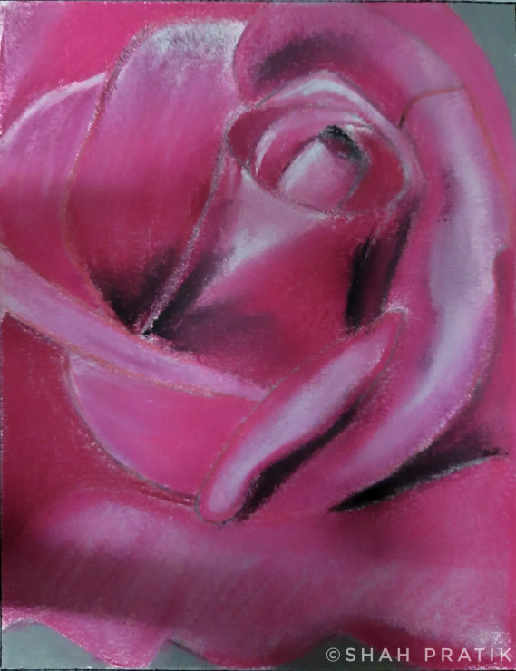 Pastel Rose (ART-15415-101894) - Handpainted Art Painting - 8 in X 11in