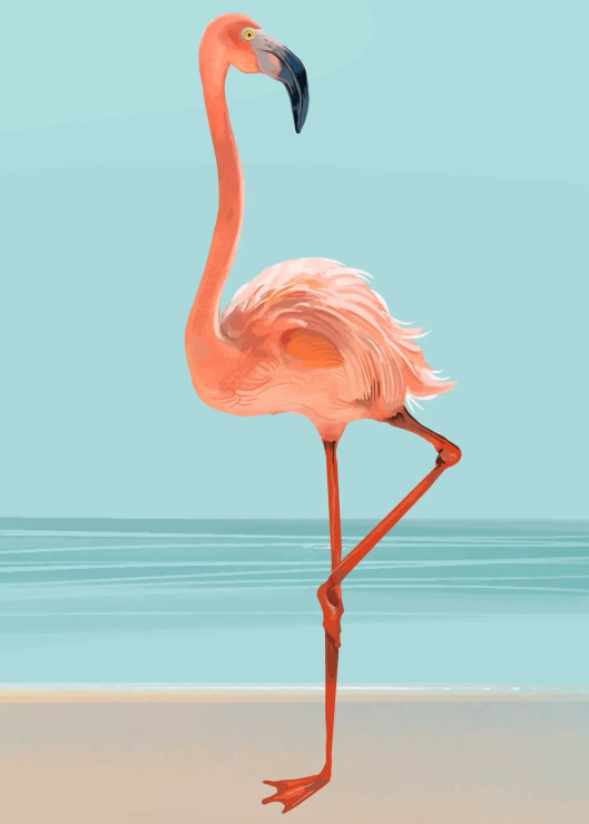 Pink Flamingo (PRT-8645-102529) - Canvas Art Print - 17in X 24in