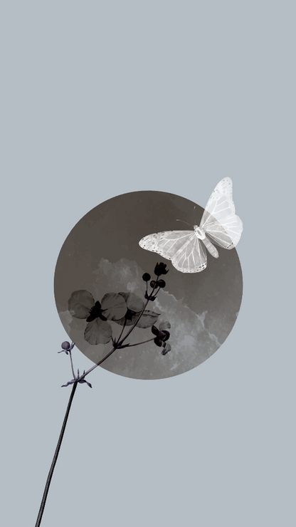 Butterfly (PRT_15876) - Canvas Art Print - 27in X 48in