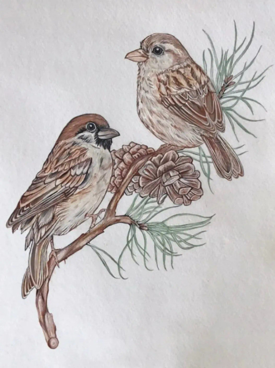 House Sparrows (ART-15653-102825) - Handpainted Art Painting - 8in X 12in