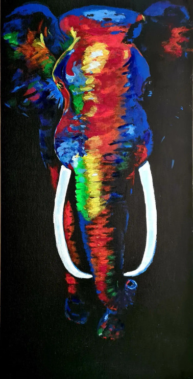 Magical Elephant (PRT-7615-103119) - Canvas Art Print - 15in X 30in