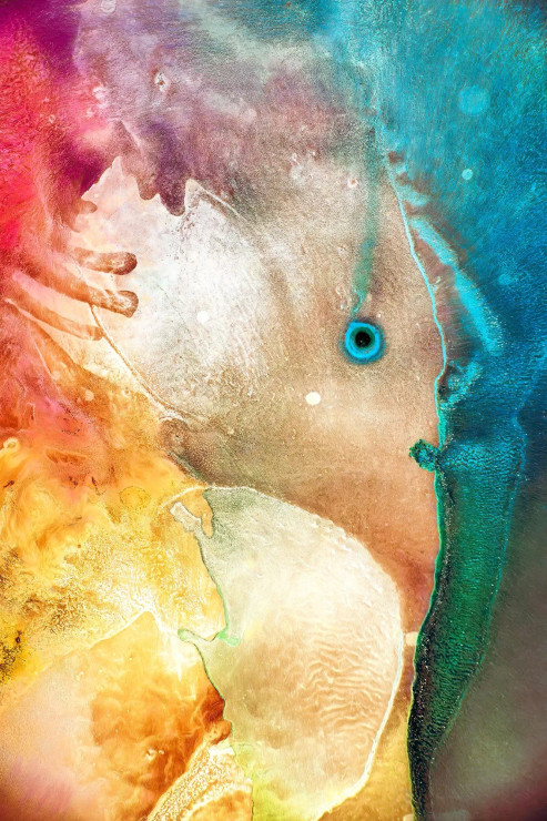 Painted Abstract#9750 (PRT-15842-103733) - Canvas Art Print - 20in X 30in