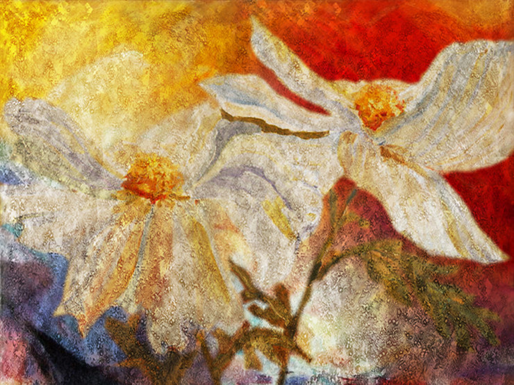 Flower,Floral,Colorful flowers,petal,beauty of floral,bloom ,blossom