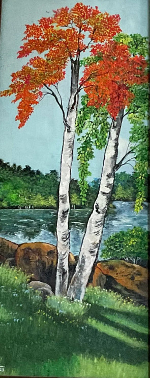 Two Trees (PRT-9093-104359) - Canvas Art Print - 19in X 48in