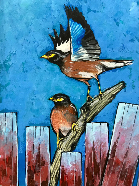 Pair Of Mynas - Birds In Watercolour (ART-7283-104880) - Handpainted Art Painting - 8in X 11in