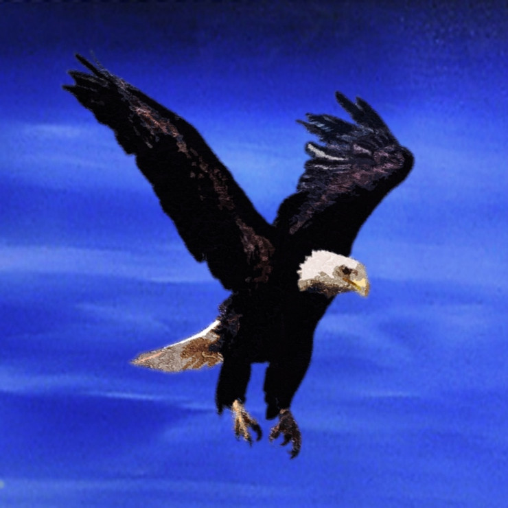 Accipitridae,Eagle,Eagles are large, powerfully built birds of prey