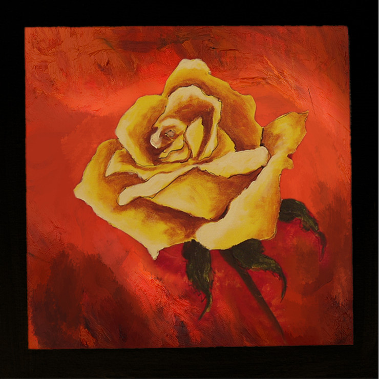 Flower,Floral,Rose,Yellow Rose flower