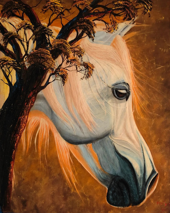 Handsome Horse (PRT-8067-106467) - Canvas Art Print - 48in X 60in