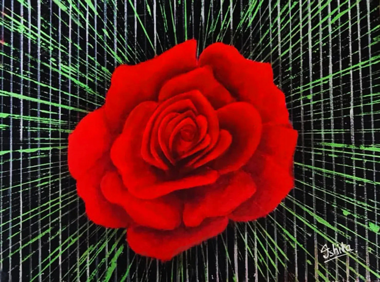 Red Rose Blossoming Through The Warp (PRT-16330-106517) - Canvas Art Print - 18in X 13in