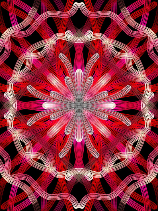 Scarlet Bloom (PRT-16330-106779) - Canvas Art Print - 36in X 48in