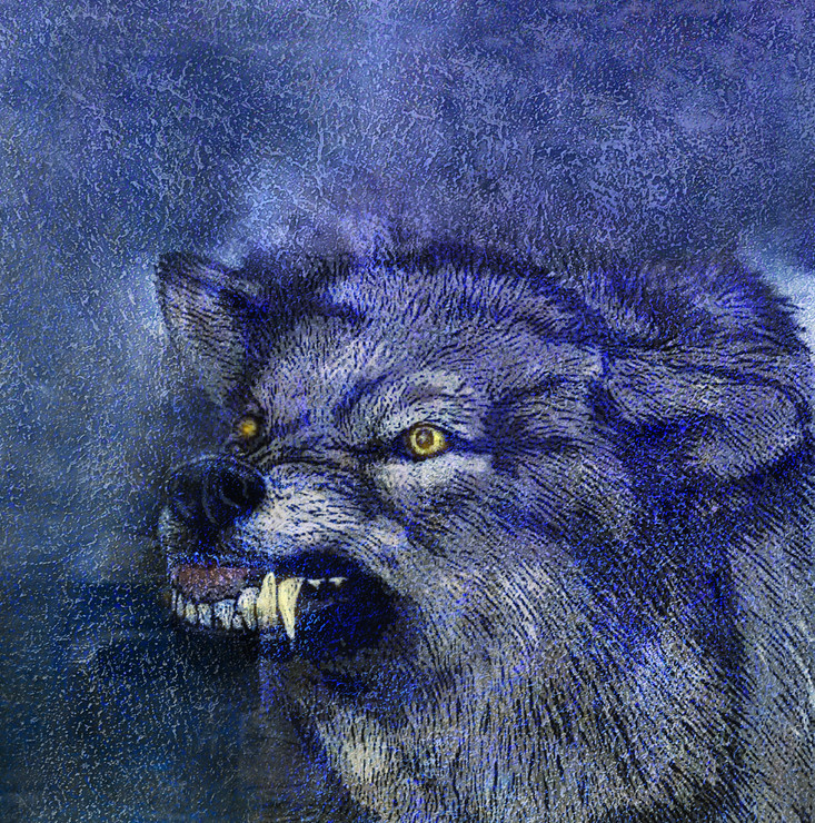 Wild Life,Wolf,Animal