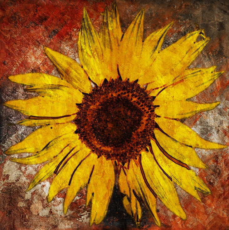 Flower,Floral,Colorful Flowers,Sunflowers