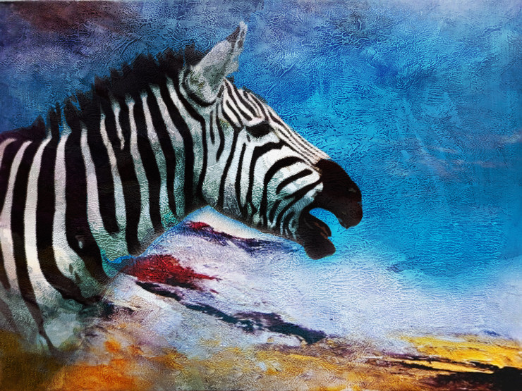 Zebra,Animal,Wild life,Zoo Animal,Strips