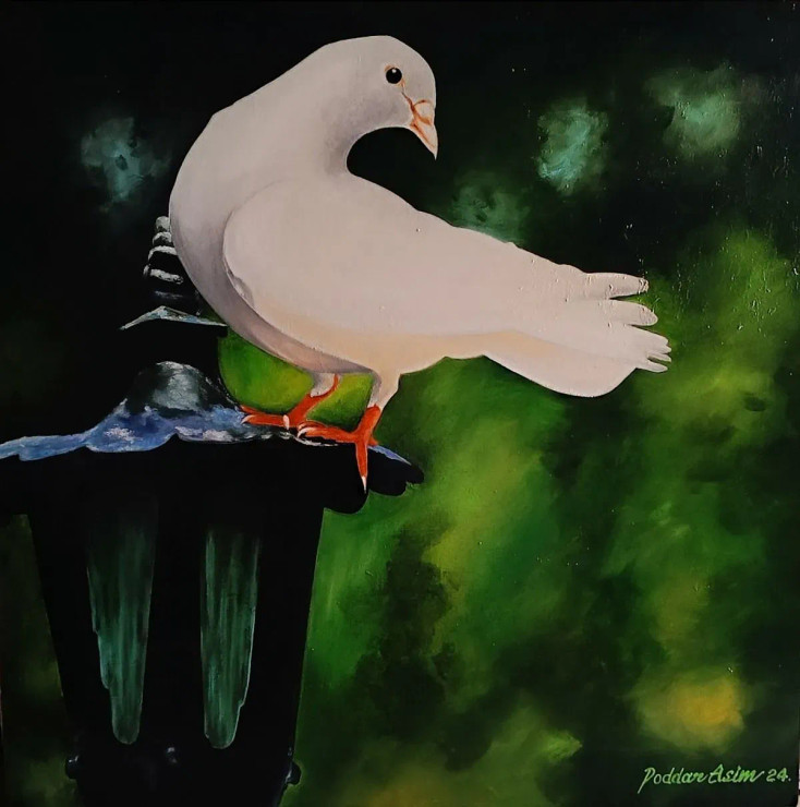 Pigeon Symbol Of Peace (ART-8250-109616) - Handpainted Art Painting - 36in X 36in