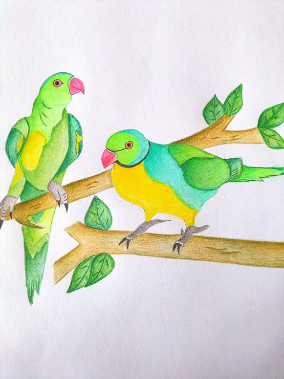 Two Birds Are Sitting On A Tree (ART-16989-111179) - Handpainted Art Painting - 8in X 12in