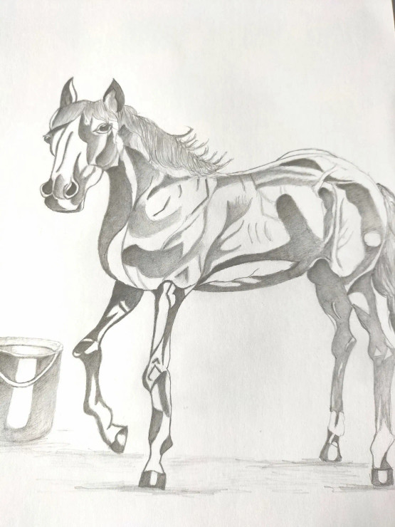 A Thirsty Horse (ART-16989-111391) - Handpainted Art Painting - 8in X 12in