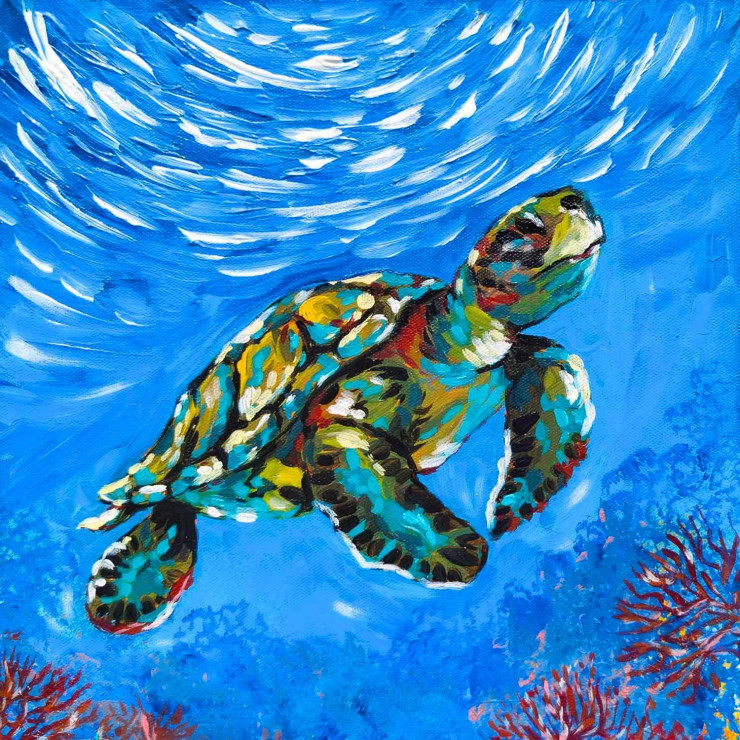 Turtle | Secrets Of The Ocean (PRT-16516-111552) - Canvas Art Print - 18in X 18in
