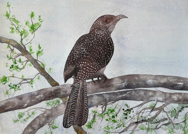 Bird 6 (ART-8841-112617) - Handpainted Art Painting - 11in X 8in