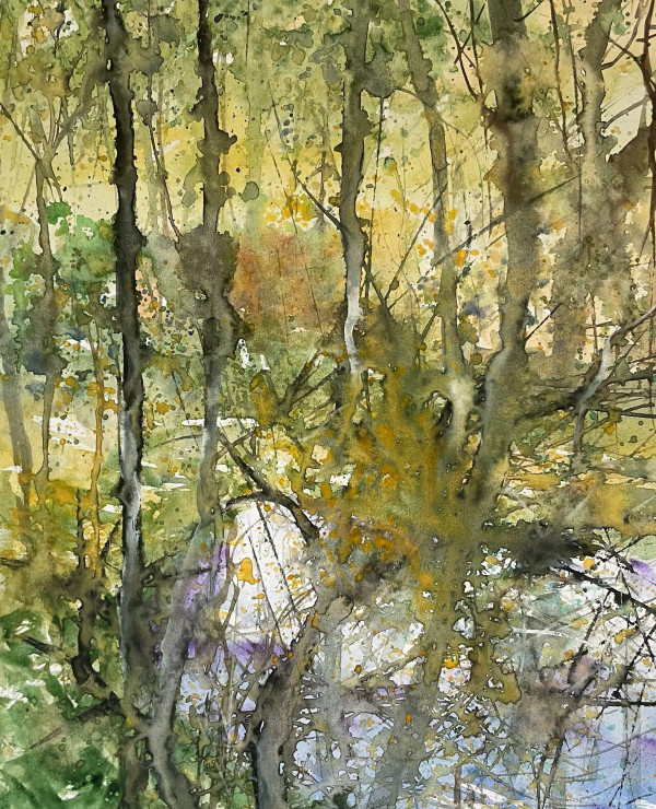 Woodland Scene (PRT-8841-112703) - Canvas Art Print - 19in X 24in