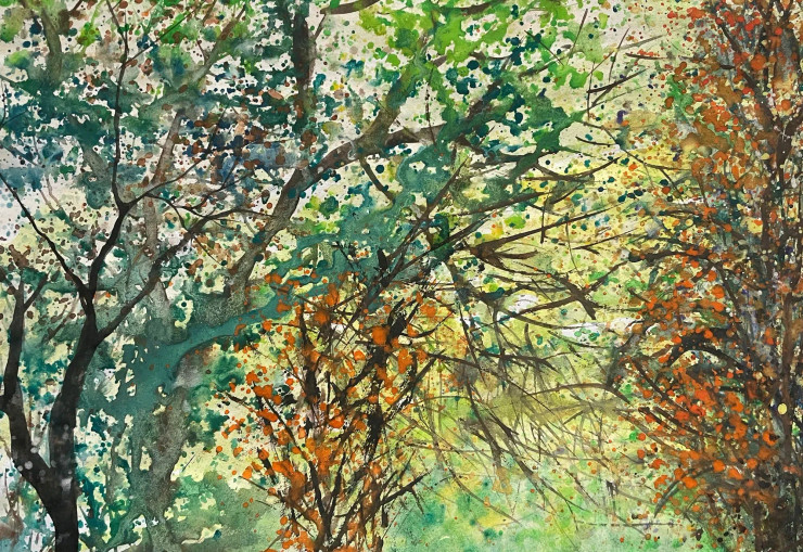 Vibrant Foliage (PRT-8841-112707) - Canvas Art Print - 24in X 17in
