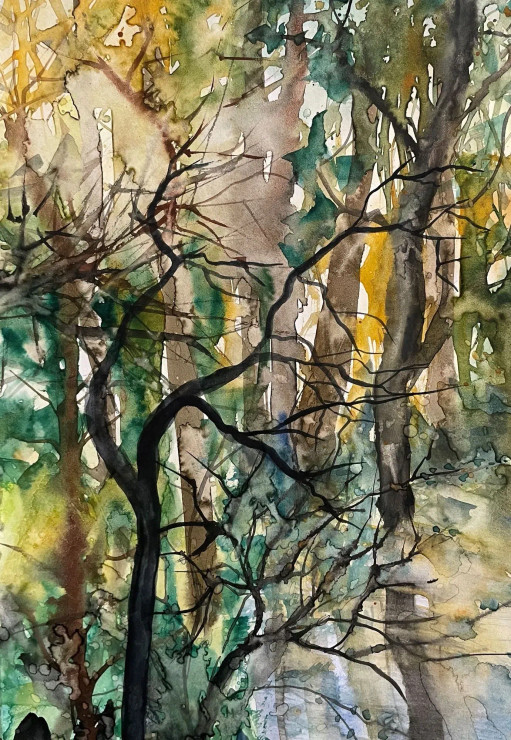 Inside Forest (PRT-8841-113343) - Canvas Art Print - 17in X 24in