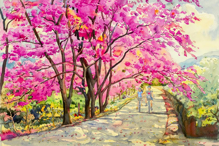 Couple Cyclist Riding In Pink Spring Blossom Scenery (PRT_15888) - Canvas Art Print - 45in X 30in