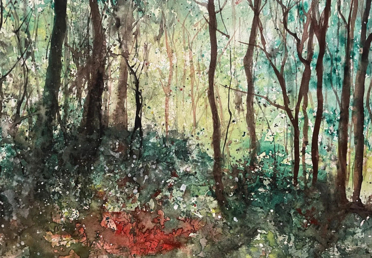 Vibrant Woodland (PRT-8841-114552) - Canvas Art Print - 30in X 21in
