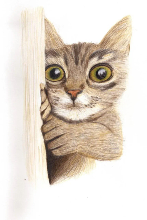 Cat (ART-15368-114713) - Handpainted Art Painting - 8in X 11in