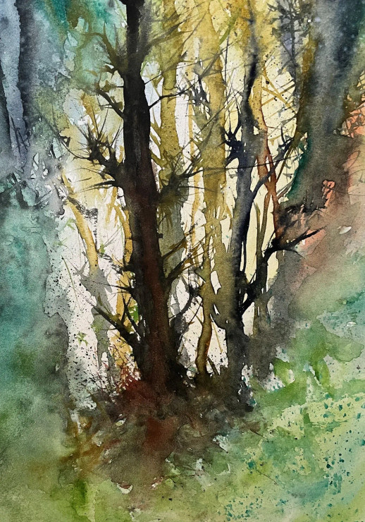 Foliage Around Trees (PRT-8841-114886) - Canvas Art Print - 21in X 30in
