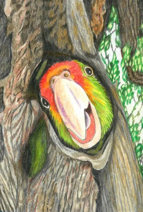Peek A Boo! (ART-15910-114915) - Handpainted Art Painting - 8in X 11in