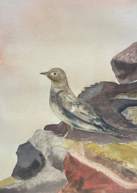 Bird 26 (ART-8841-115417) - Handpainted Art Painting - 8in X 11in