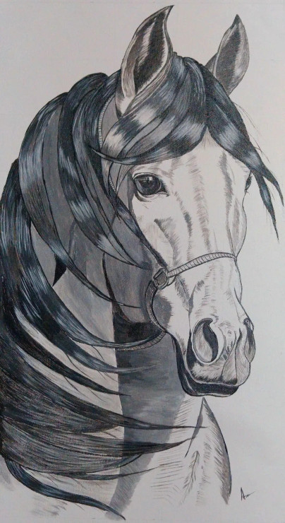 Majestic Grace - Horse Painting (PRT-15701-115446) - Canvas Art Print - 16in X 30in