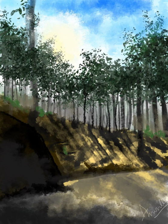 A Hamlet In Binsar Woods (PRT-17631-115540) - Canvas Art Print - 9in X 12in