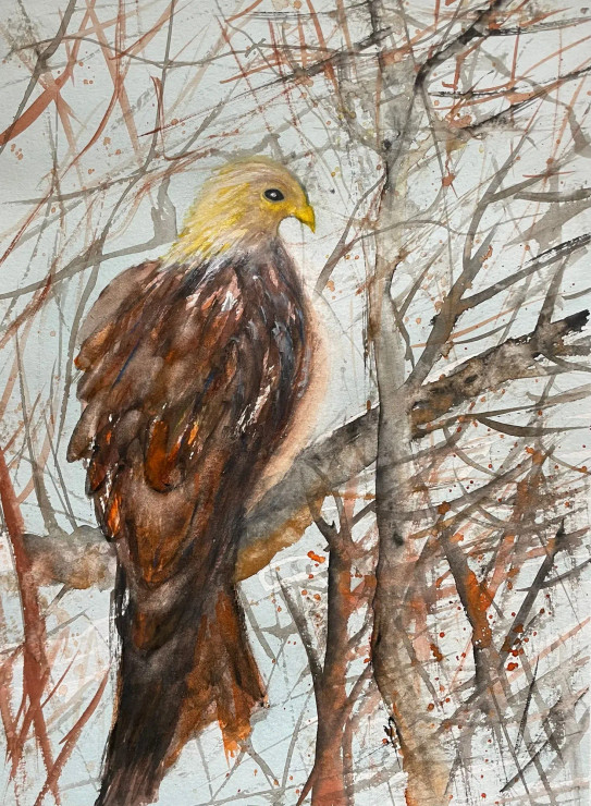 Bird 31 (ART-8841-115754) - Handpainted Art Painting - 8in X 11in