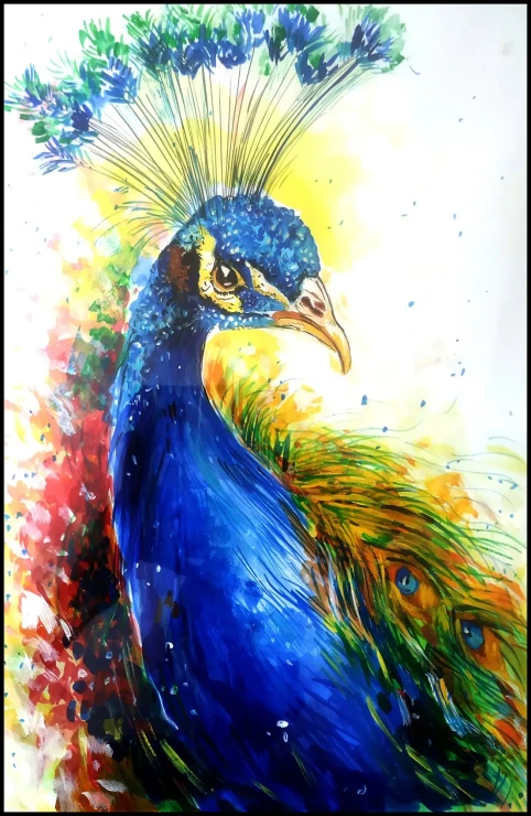Peacock 01 (ART-17701-115806) - Handpainted Art Painting - 11in X 16in