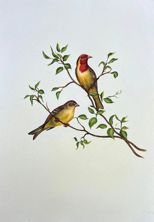 Bird Painting (ART-6706-115975) - Handpainted Art Painting - 12in X 15in