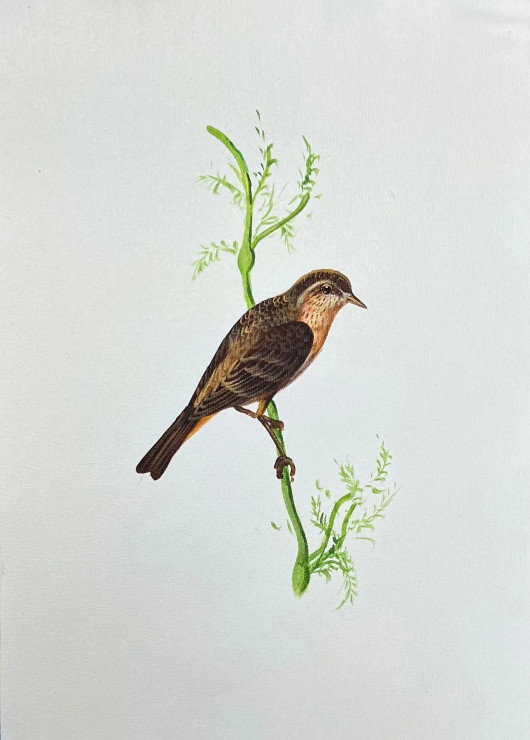 Bird Painting (ART-6706-115976) - Handpainted Art Painting - 12in X 15in