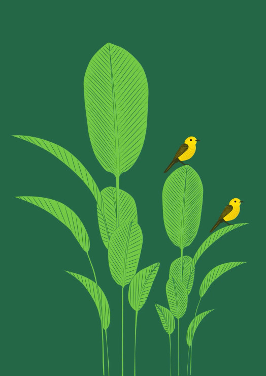 Birds (PRT-16489-115986) - Canvas Art Print - 21in X 30in
