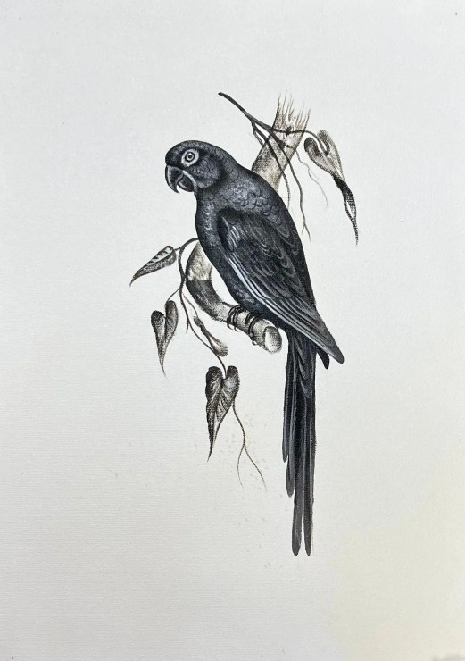 Bird Painting (ART-6706-116111) - Handpainted Art Painting - 12in X 15in