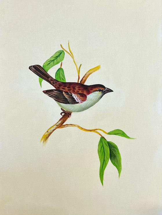 Bird Painting (ART-6706-116113) - Handpainted Art Painting - 12in X 15in