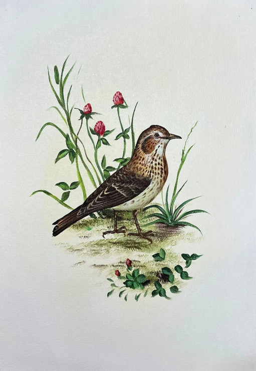 Bird Painting (ART-6706-116114) - Handpainted Art Painting - 12in X 15in