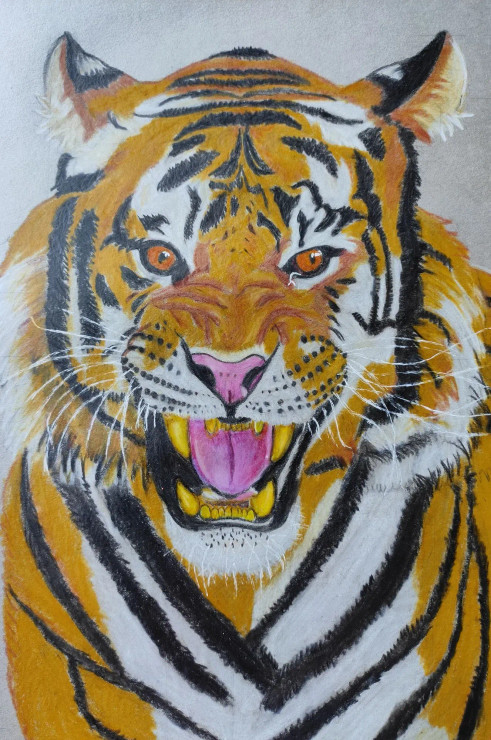 The Roaring Tiger (ART-17793-116483) - Handpainted Art Painting - 9in X 12in