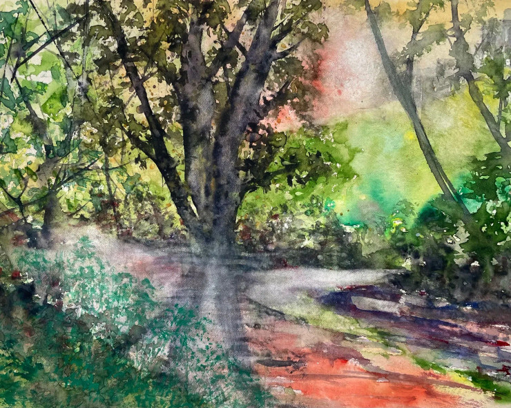 Serene Forest Path (PRT-8841-117193) - Canvas Art Print - 24in X 19in