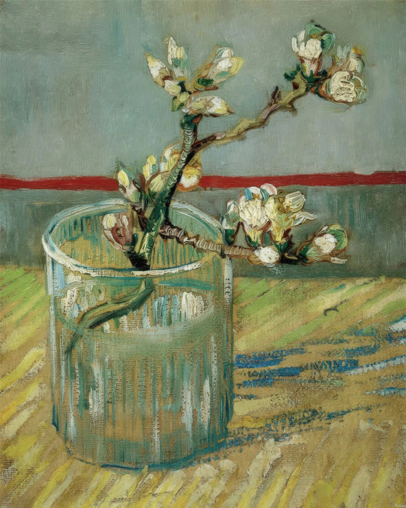 Awakening Of Tender Blossoms (PRT-15697-117234) - Canvas Art Print - 29in X 36in
